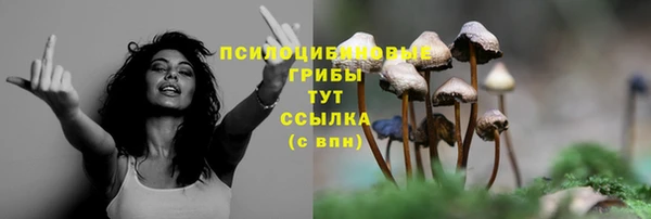 тгк Навашино