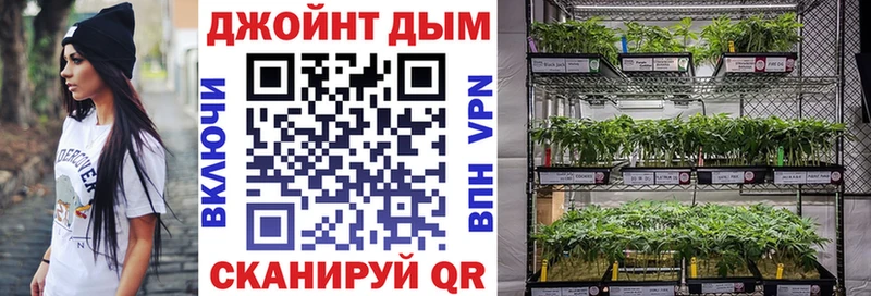 Конопля Amnesia  Поворино 